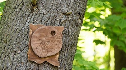 A trailmarker is seen on a tree