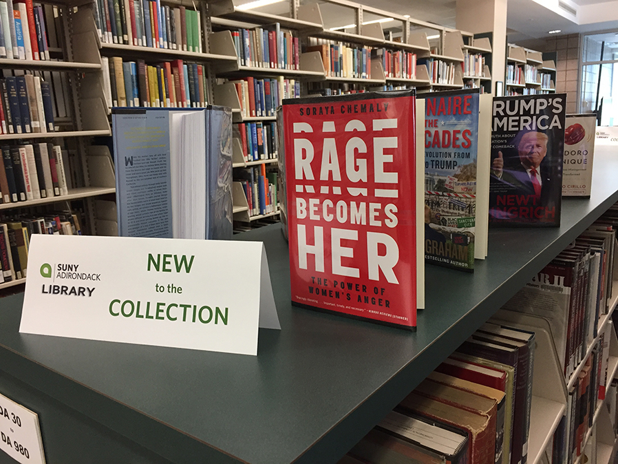 The SUNY Adirondack library now has a New Books display.