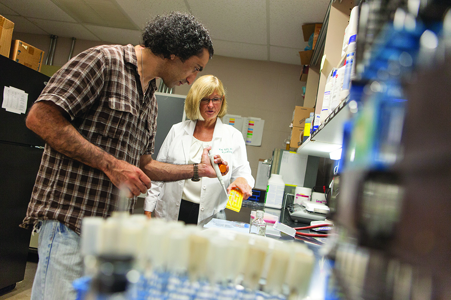 SUNY Adirondack Professor of Microbiology Holly Ahern works with a student on tick-related research on the college campus.