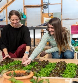 SUNY Adirondack Business Professor Kim London works in the greenhouse with a student