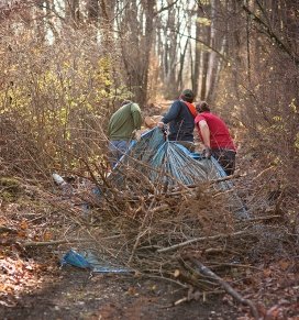 Students work together to clean up a wooded trail