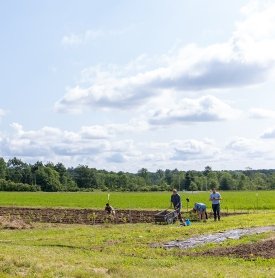 Students working on the campus farm