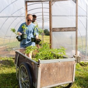 Students plant hemp on the college's farm