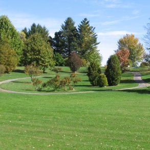 A path weaves through trees in SUNY Adirondack's Arboretum.