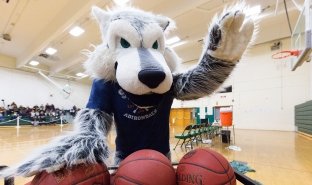 Image for news article SUNY Adirondack faces SUNY four-year schools in annual Mascot Madness competition