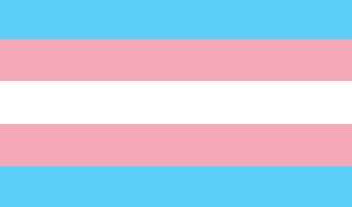 Image for news article SUNY Adirondack plans Transgender Day of Remembrance vigil