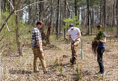 Students and staff plant trees during an Earth Day event on campus