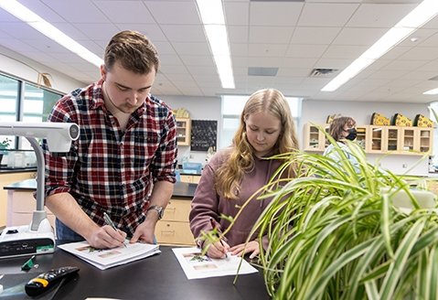 Two students work on a project in a biology class