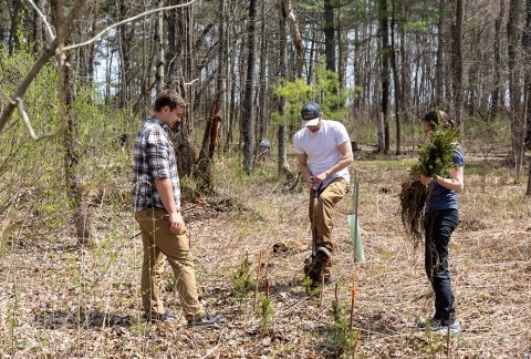 Students participate in an annual Earth Day tree-planting event in the trails behind campus