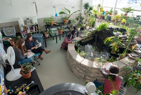 Art students drawing in the indoor greenhouse in Adirondack Hall
